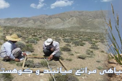 بنر صفحه اصلی