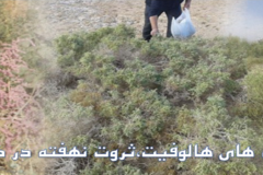 بنر صفحه اصلی