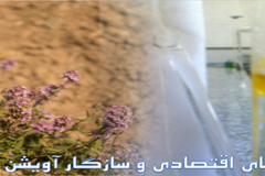 بنر صفحه اصلی