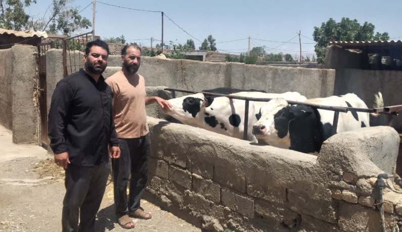 عکس