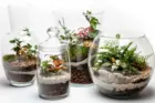 برگزاری کارگاه آموزشی مهارتی «آموزش ساخت و نگهداری باغ شیشه‌ای (تراریوم)» ویژه زندانیان استان سمنان