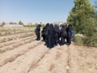 تور علمی و آموزشی هنرجویان رشته امور زراعی در ایستگاه تحقیقات سمنان به مناسبت آغاز سال تحصیلی جدید