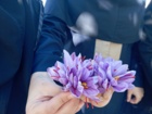 تور علمی - آموزشی  هنرجویان تولید گیاهان دارویی از مزرعه زعفران سمنان
