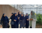تداوم فعالیت‌های پژوهشی مرکز تحقیقات و آموزش کشاورزی و منابع طبیعی استان سمنان در شرایط جنگی