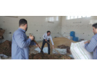 پسماندهای کشاورزی؛ از کنجاله زیتون تا تفاله پرتقال، جایگزینی راهبردی برای نهاده‌های وارداتی