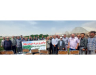 برگزاری روز مزرعه باقلا در شهرستان آرادان با مشارکت کشاورزان و کارشناسان بخش کشاورزی