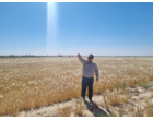 بازدید تخصصی مدیران مرکز از گرمسار و آرادان با محور ارتقای بهره‌وری، توسعه زیرساخت‌ها و تقویت رویکردهای فناورانه