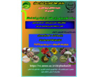 تشریح یافته‌های پژوهشی و توصیه‌های کاربردی در حوزه تغذیه دام و بهره‌وری تولید با هدف تقویت پیوند میان پژوهش و جامعه بهره‌برداران