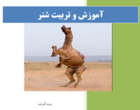 روایت یک سال پژوهش مسئله‌محور در بخش تحقیقات علوم دامی استان سمنان
