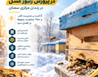 تأکید بر مدیریت کلنی و حفظ جمعیت زنبورها در فصل سرد
