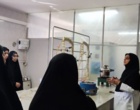 آموزش عملی فرآوری گیاهان دارویی؛ از عصاره‌گیری تا اسانس‌گیری