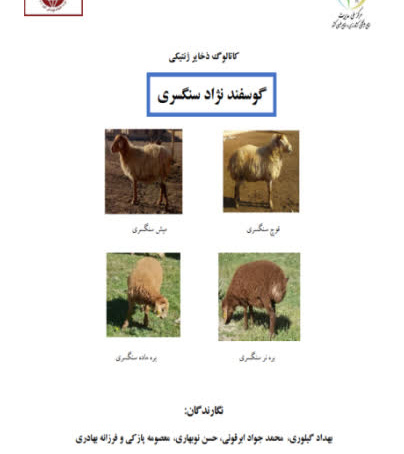 کاتالوگ تخصصی گوسفند سنگسری منتشر شد