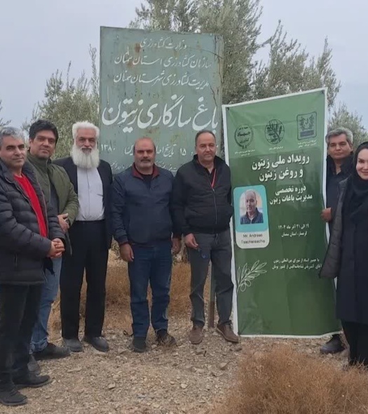 برگزاری کارگاه آموزشی بینالمللی اصلاح و بهسازی باغات زیتون در گرمسار
