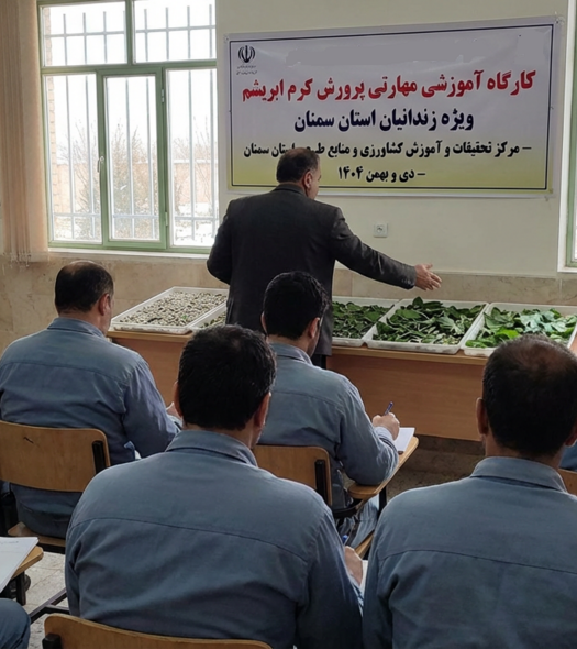 برگزاری کارگاه آموزشی مهارتی «پرورش کرم ابریشم» ویژه زندانیان استان سمنان