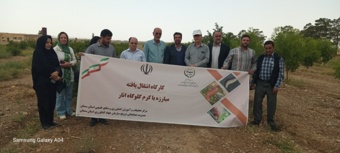 برگزاری کارگاه آموزش تخصصی مبارزه با آفت کرم گلوگاه انار در مرکز سمنان
