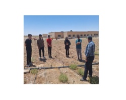 صدور ۷۰ گواهینامه مهارتی کشاورزی در مرکز سمنان با پایان دوره‌های استاندارد بزرگسالان