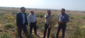 برگزاری نهمین کاروان ترویج بهره‌وری در سرخه با رویکرد تغییر اقلیم و معرفی مزرعه نمونه کنجد