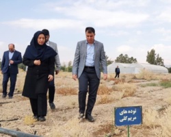 بازدید معاون اقتصادی استاندار سمنان از ایستگاه تحقیقات کشاورزی و منابع طبیعی شهرستان سمنان