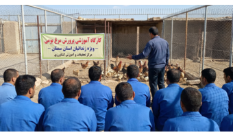 کارگاه آموزشی «پرورش مرغ بومی» ویژه زندانیان استان سمنان برگزار شد