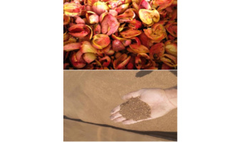 پسماندهای کشاورزی؛ از کنجاله زیتون تا تفاله پرتقال، جایگزینی راهبردی برای نهاده‌های وارداتی
