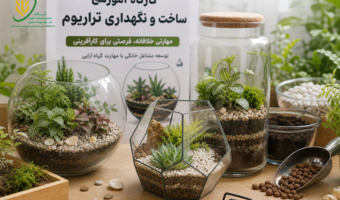 یک مهارت خلاقانه و کاربردی برای توسعه مشاغل خانگی