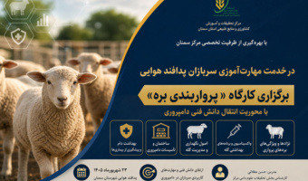 برگزاری کارگاه «پرواربندی بره» با محوریت انتقال دانش فنی دامپروری