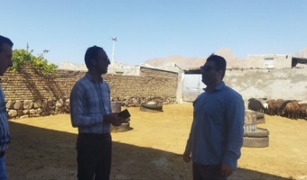 بررسی شرایط پرورش دام و ارائه توصیه‌های فنی در قالب طرح یاوران تولید