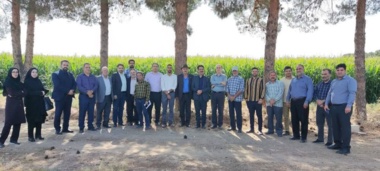 برگزاری روز مزرعه با محور «ارتقای بهرهوری مصرف آب» در کشاورزی استان سمنان