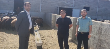 بازدید تخصصی از واحدهای دام سنگین و سبک شهرستان دامغان