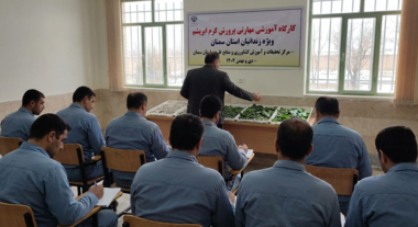 برگزاری کارگاه آموزشی مهارتی «پرورش کرم ابریشم» ویژه زندانیان استان سمنان