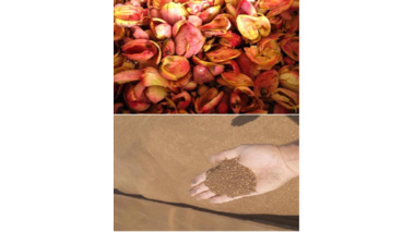 پسماندهای کشاورزی؛ از کنجاله زیتون تا تفاله پرتقال، جایگزینی راهبردی برای نهاده‌های وارداتی