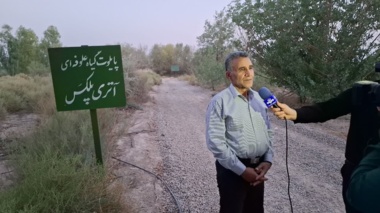تولید سالانه ۲۰ هزار قلمه گزشاهی و ۵ تن بذر گیاهان شورزیست در ایستگاه تحقیقات گرمسار