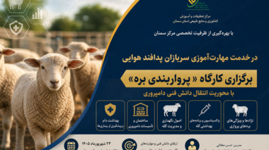 برگزاری کارگاه «پرواربندی بره» با محوریت انتقال دانش فنی دامپروری